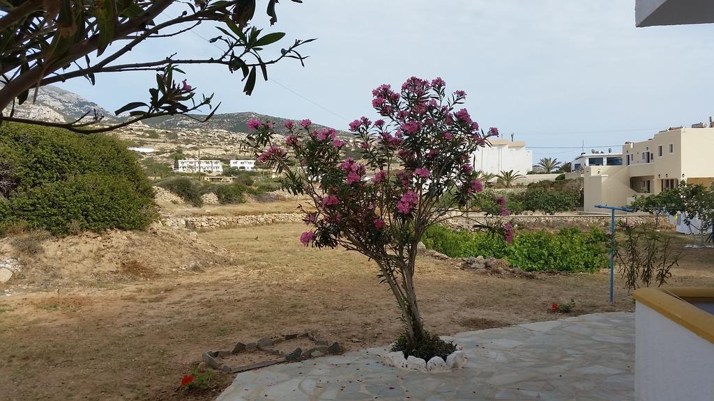 דירות לפקוס קרפתאו Aegean Sea מראה חיצוני תמונה